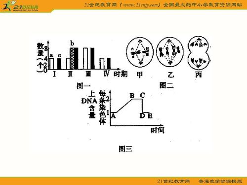 包含细胞分裂混沌理论游戏攻略的词条